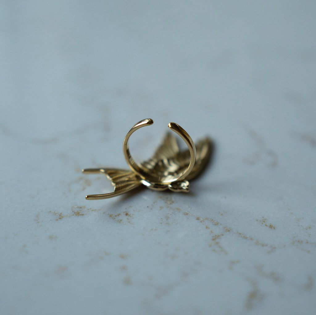 Ring Mae - vogel