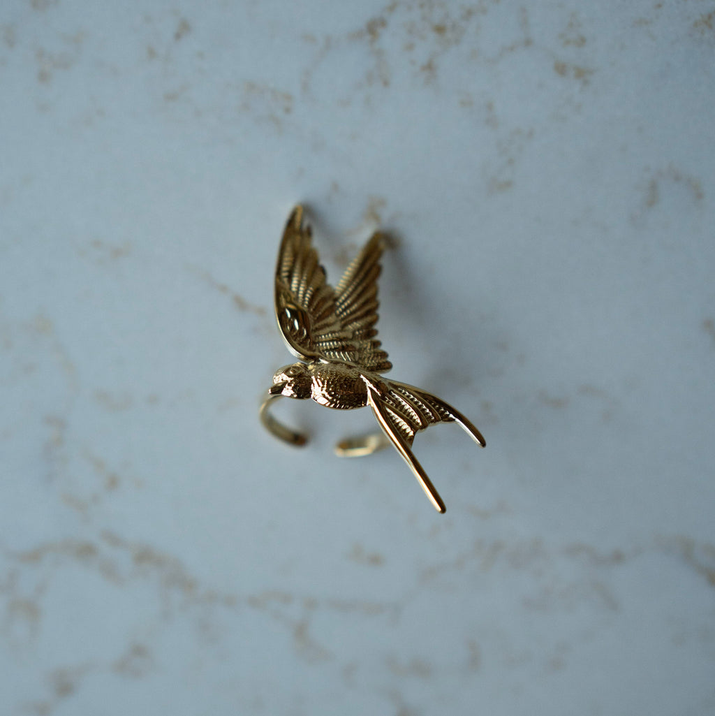 Ring Mae - vogel