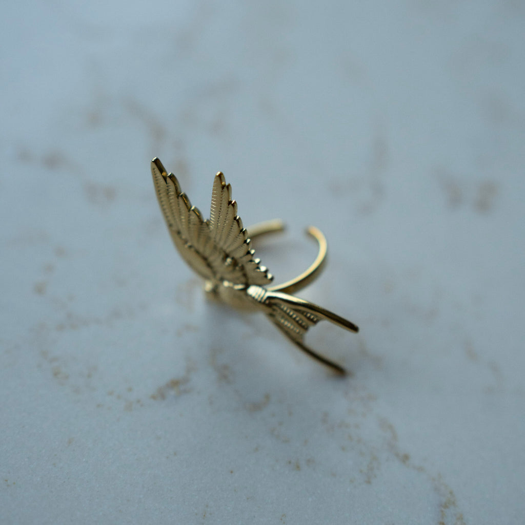 Ring Mae - vogel