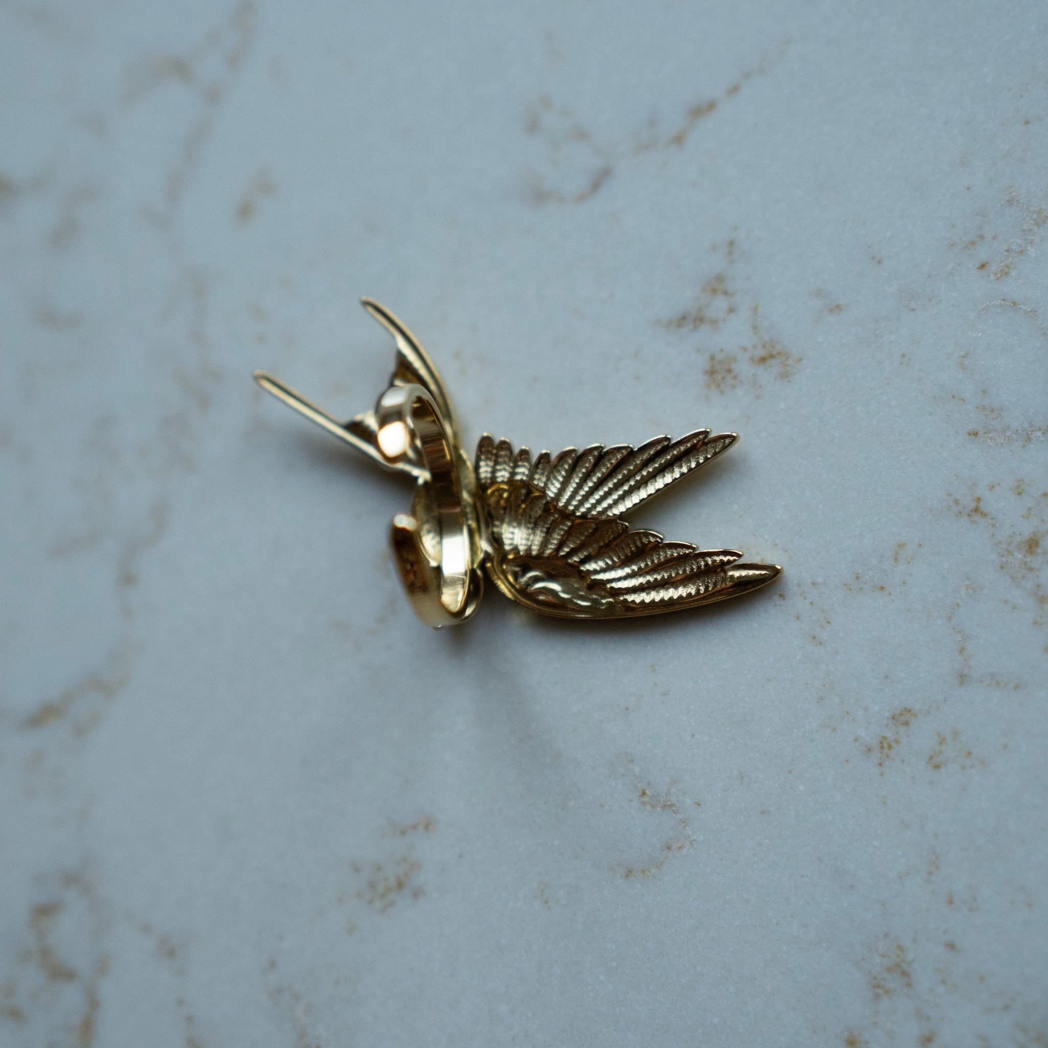 Ring Mae - vogel