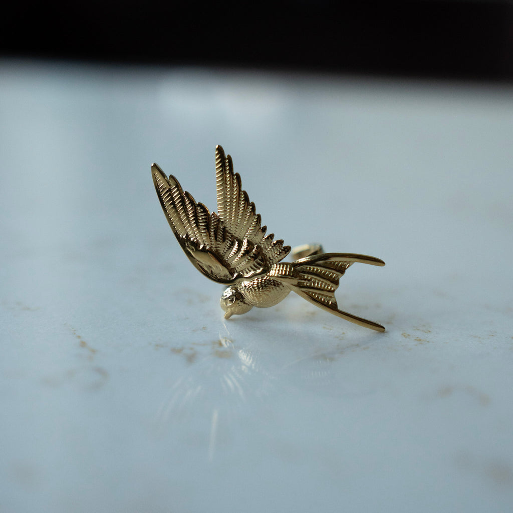 Ring Mae - vogel