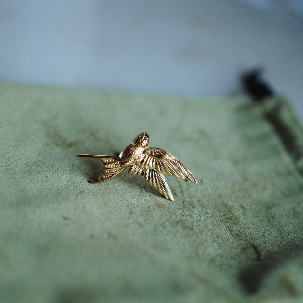 Ring Mae - vogel