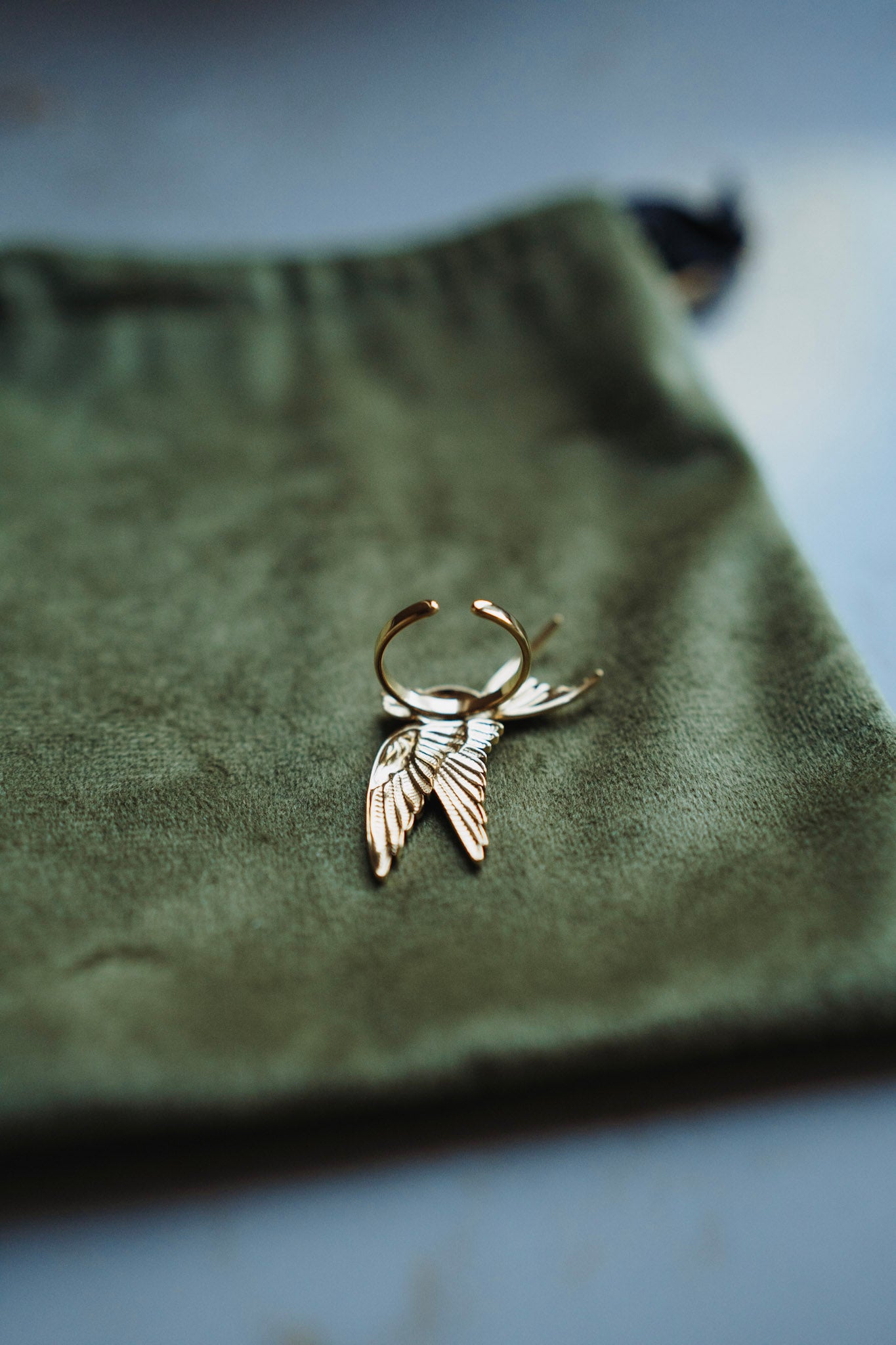 Ring Mae - vogel